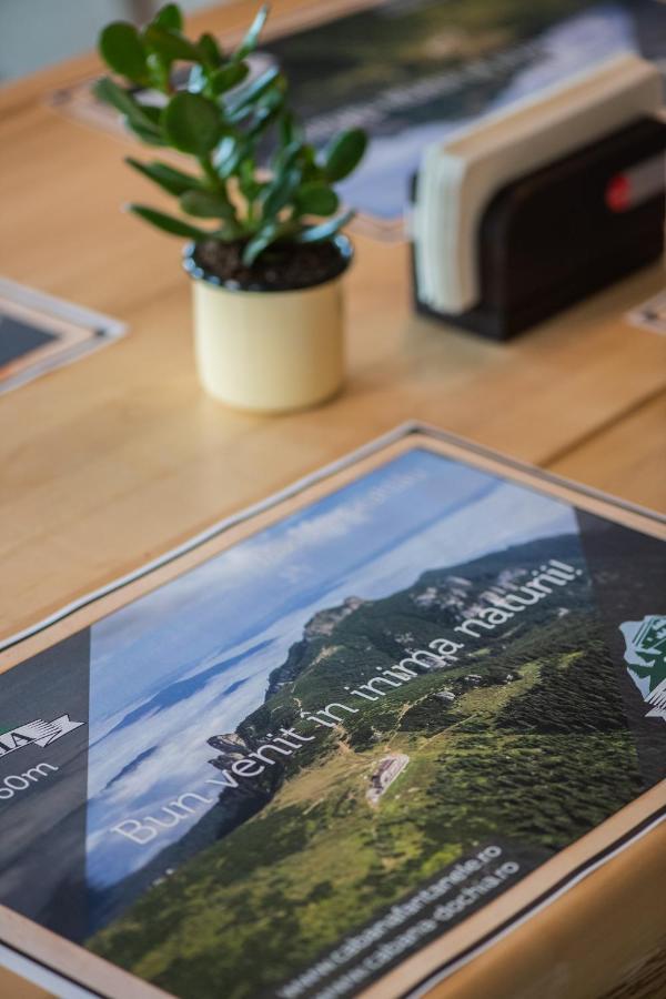 Cabana Fantanele Ceahlău Exteriér fotografie